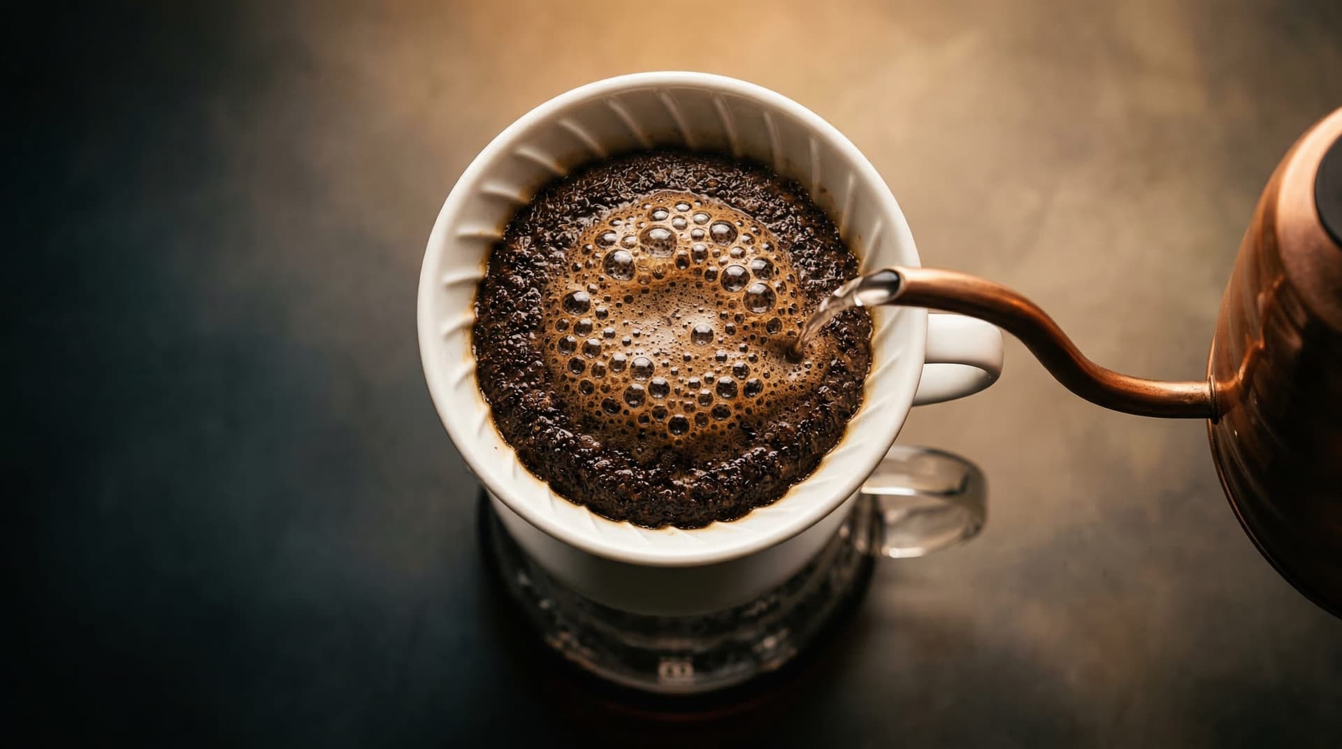 Coffee grounds blooming during pour over pre-infusion — CO2 bubbles rising through a Hario V60 dripper showing active degassing from freshly roasted beans