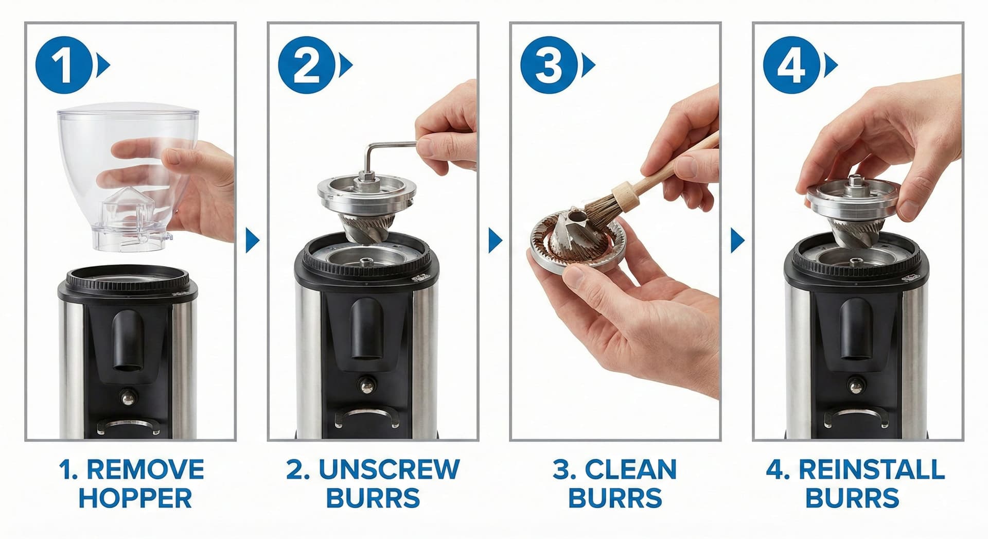 Step-by-step burr grinder maintenance procedure showing burr carrier removal, brush cleaning of coffee oils and residue, burr set inspection for wear patterns, and reassembly process demonstrating proper care techniques from specialty coffee shop equipment maintenance consulting ensuring optimal grinder longevity and consistent particle distribution