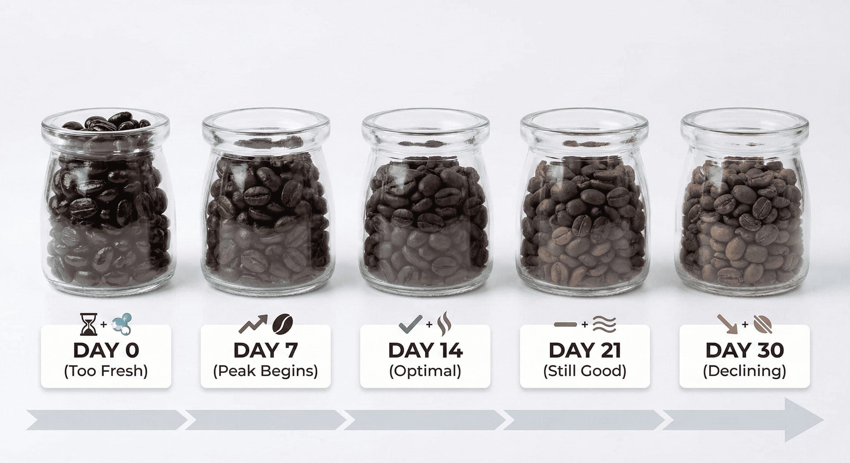 Visual timeline showing optimal espresso bean freshness from roast date through 30 days