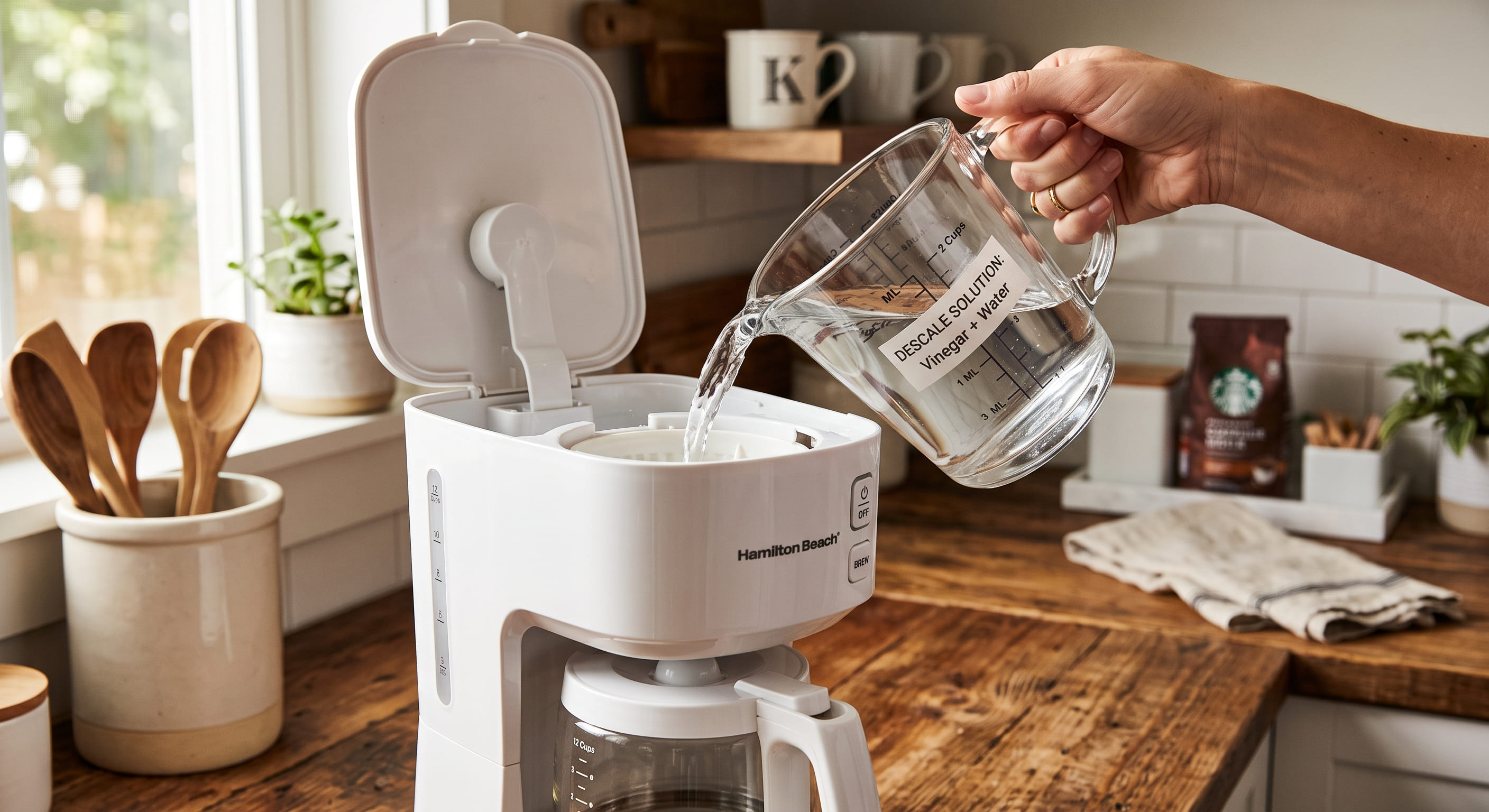 Hand pouring a measured cup of white vinegar and water descaling solution into a drip coffee maker reservoir — step 2 of fixing a coffee maker leaking from the bottom caused by mineral scale buildup