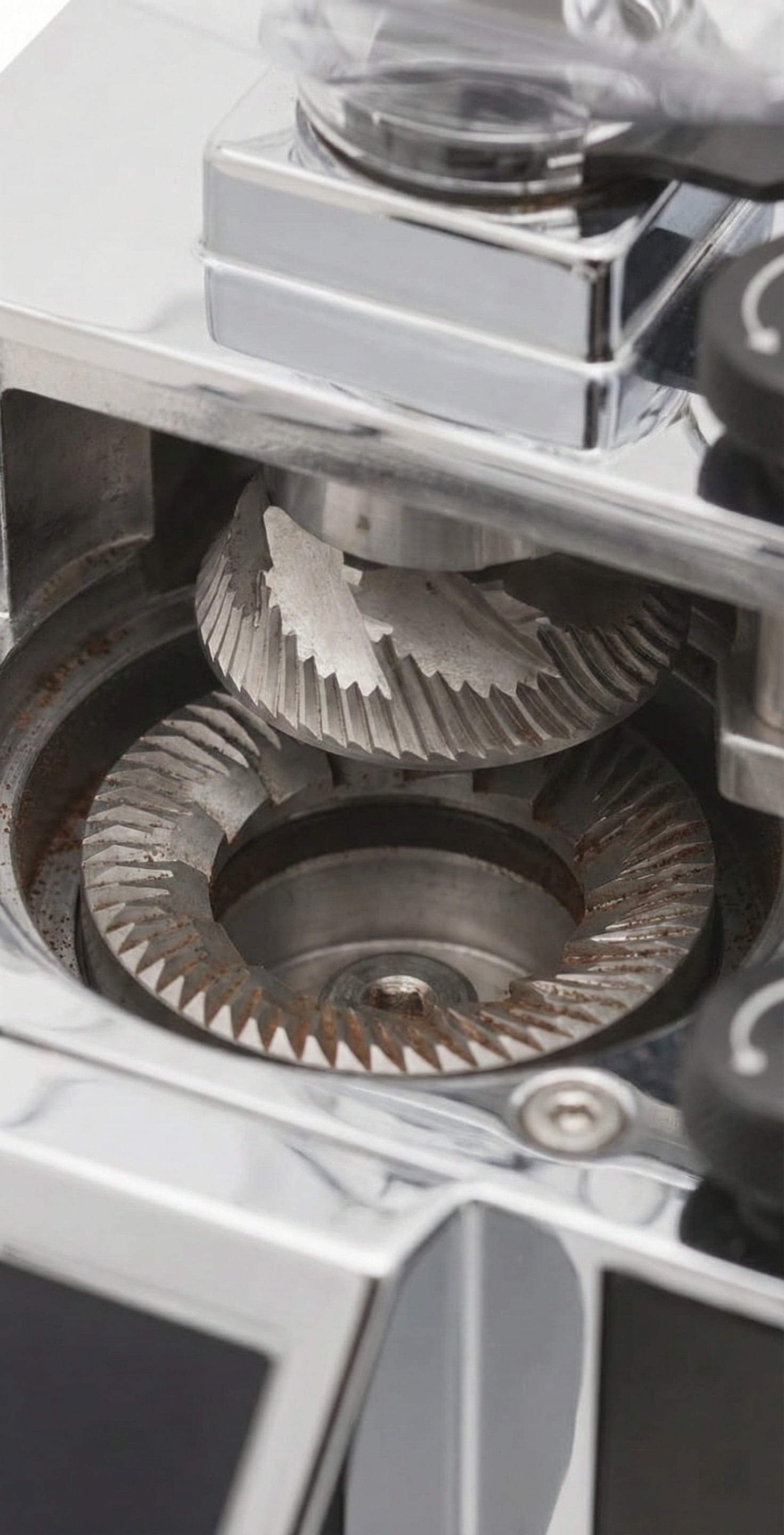 Stepless micrometric adjustment collar on Eureka Specialita flat burr grinder during precise espresso grind dialing - infinite adjustment positions for Italian espresso perfection