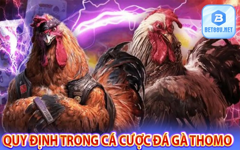 Những quy định trong cá cược đá gà thomo